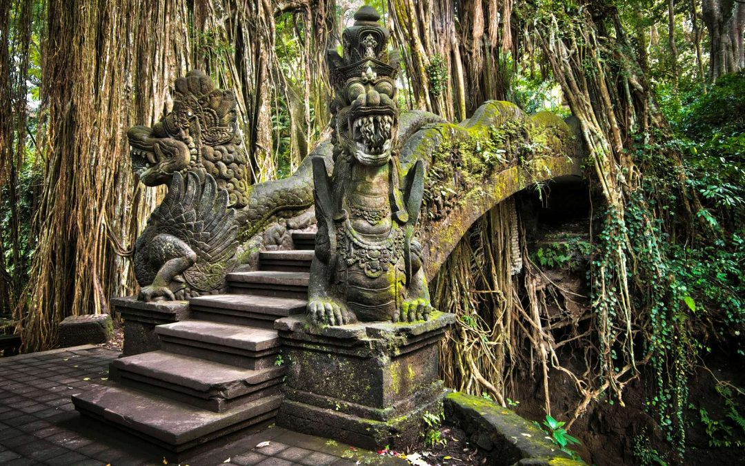 Der Monkey Forest in Ubud – Von Affen und Tempeln